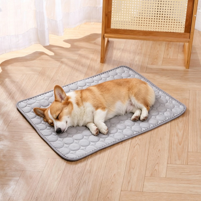 Alfombrilla de hielo para masc - Cooling Blanket Hot Sleepers reseña y precio